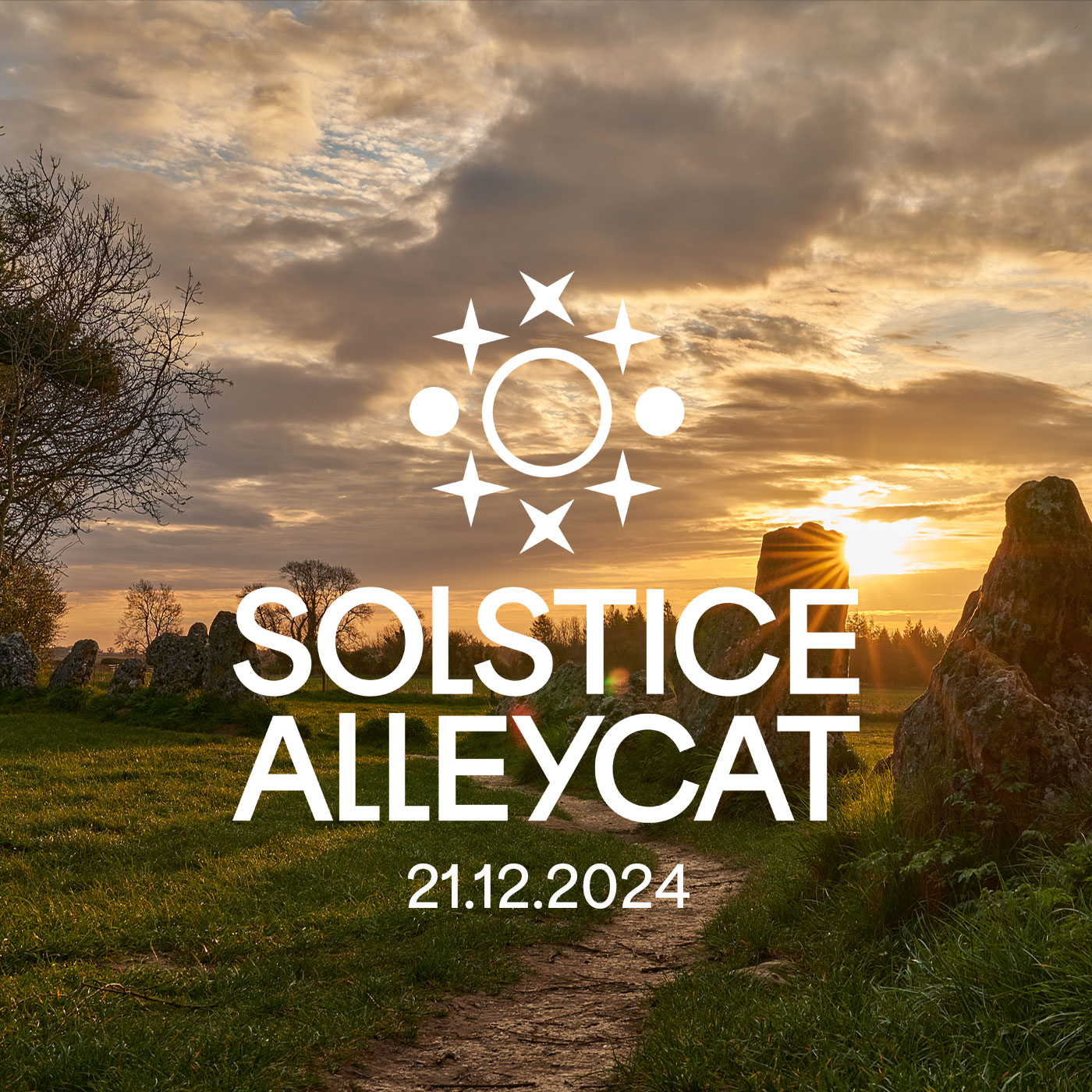 The Solstice AlleyCat